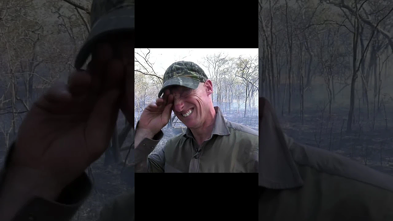 Thousands Of Hectares Up In Flames In #mozambique Bushfires. Animals Displaced, The Land Devastated.