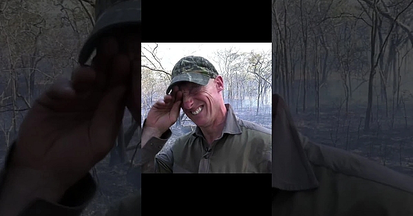 Thousands Of Hectares Up In Flames In #mozambique Bushfires. Animals Displaced, The Land Devastated.