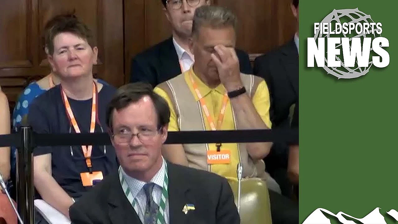 Shooters Win Grouse Shooting Debate At Westminster, 2025