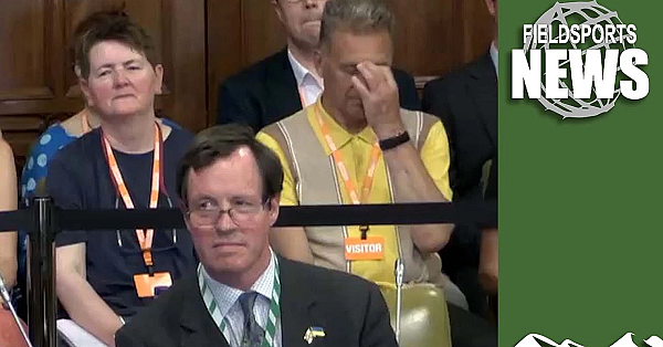 Shooters Win Grouse Shooting Debate At Westminster, 2025