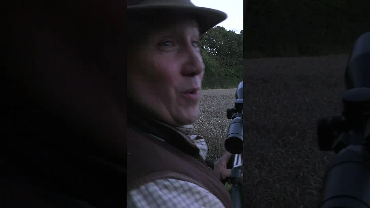 Everything Goes According To Plan #fieldsportsbritain #shotgun #grouse