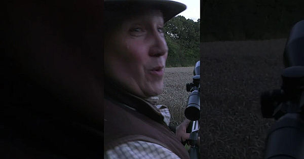 Everything Goes According To Plan #fieldsportsbritain #shotgun #grouse