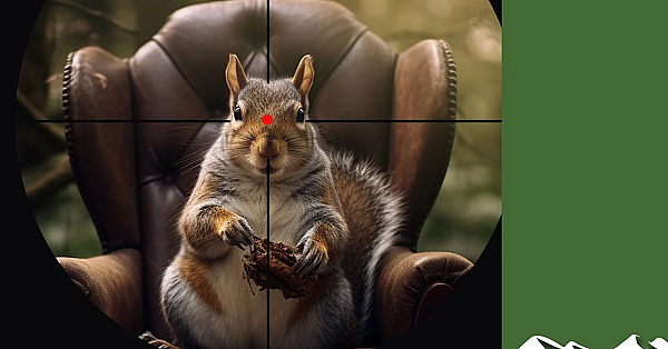 Des And Keith's Luxury Squirrel Shoot