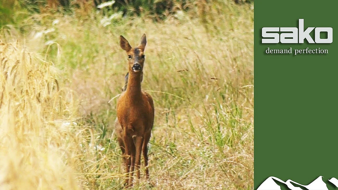 On Test  Sako Gamehead Pro