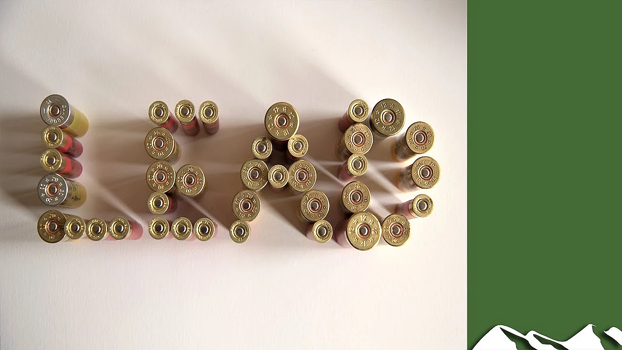 Lead Shot: Behind The Ban