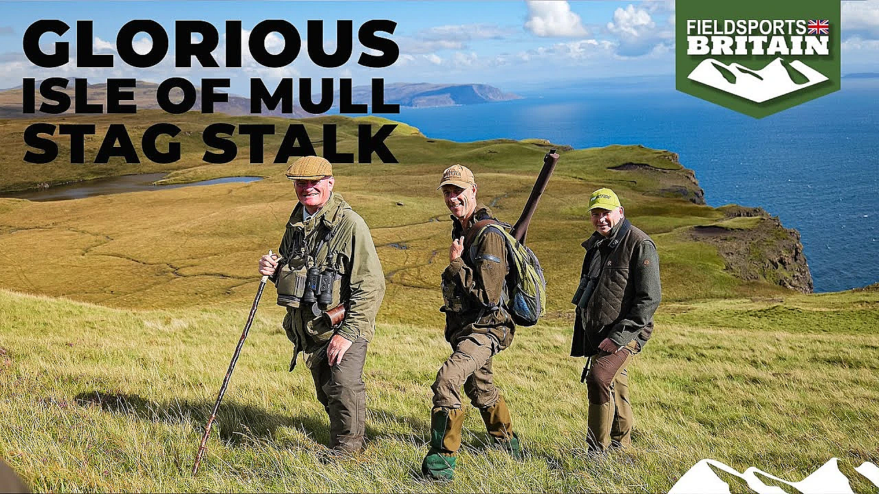 Glorious Isle Of Mull Stag Stalk