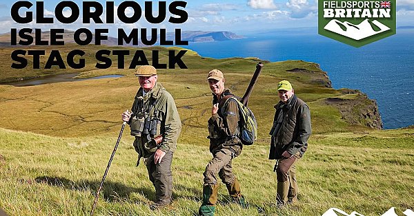 Glorious Isle Of Mull Stag Stalk