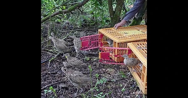 A victory for @BASCtwo and strong words from the judge.