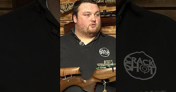 Pro Pest Control: How To Choose An Fac Air Rifle  #fieldsportsbritain #pestcontrol