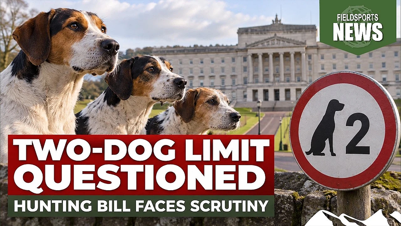 NI hunting bill ‘would ban dogwalkers’ – Fieldsports News, 23 September 2026