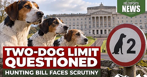 NI hunting bill ‘would ban dogwalkers’ – Fieldsports News, 23 September 2026
