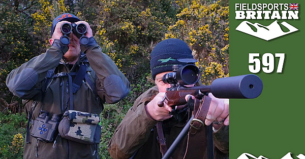 Fieldsports Britain - A Buck In Your Sights
