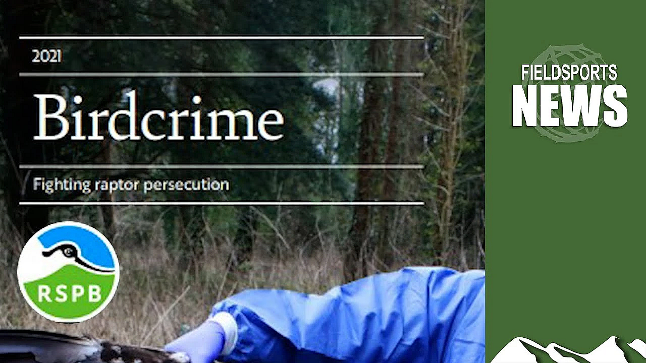 Rspb Hate Speech Campaign