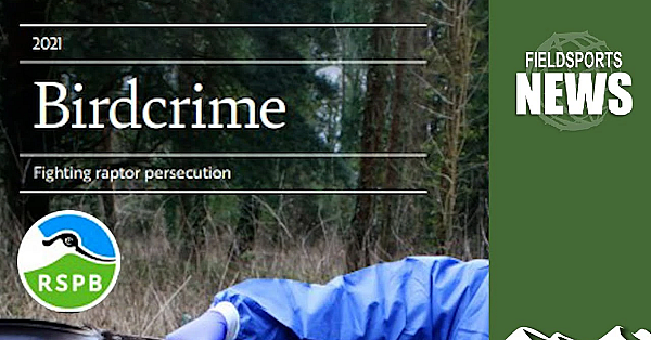 Rspb Hate Speech Campaign