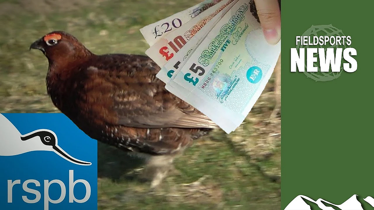 Difficult Questions For The Rspb