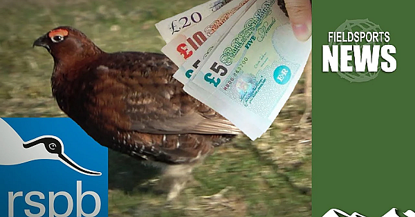 Difficult Questions For The Rspb