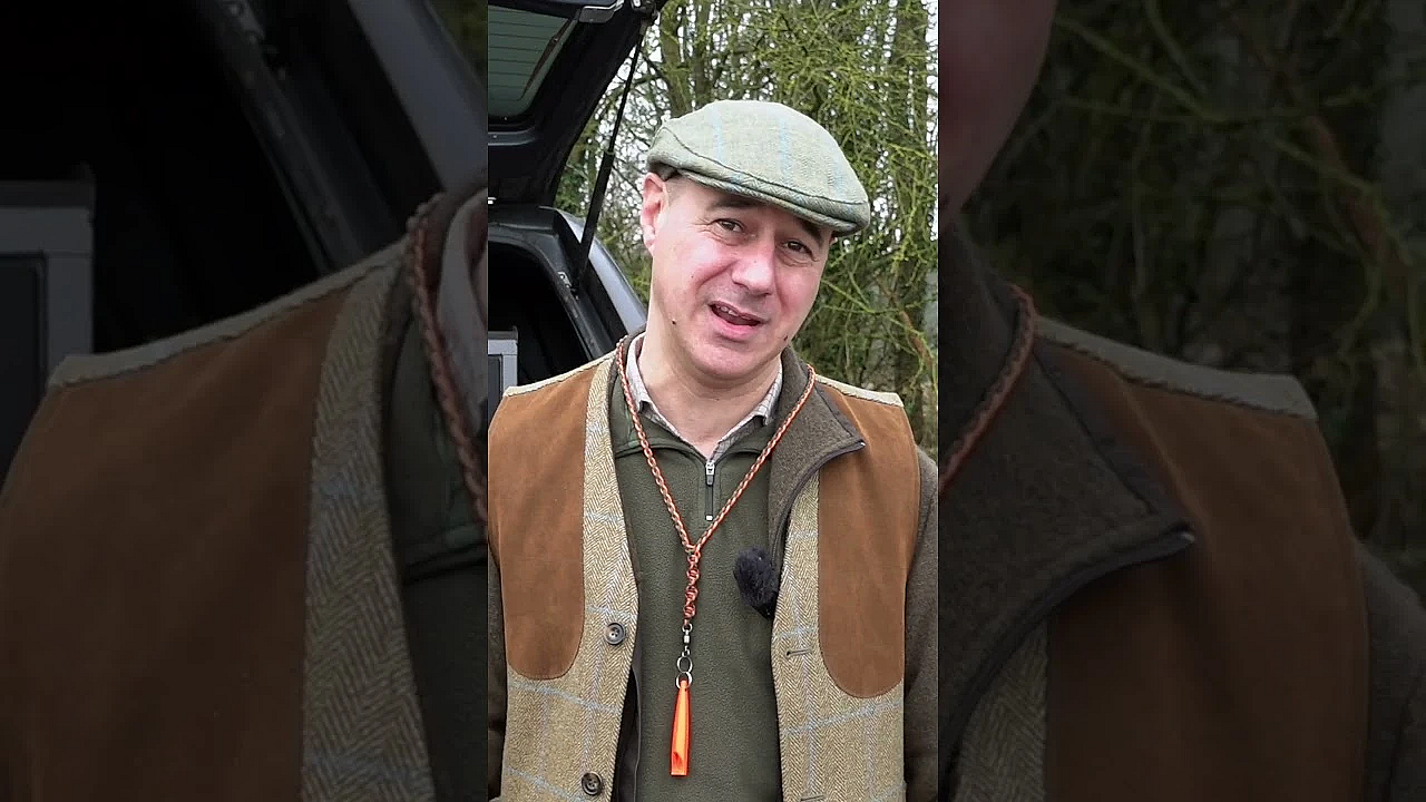 Top Game Chef José Souto Uses His Pointer To Find &amp; Point Game Birds For His Birds To Hunt #gundogs