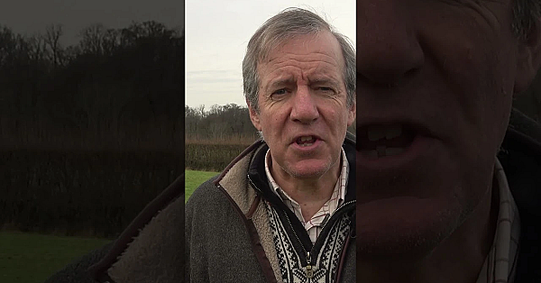 Digital Sights, Airgun Academy &amp; Day-night Scopes.  #fieldsports #hunting #airguns