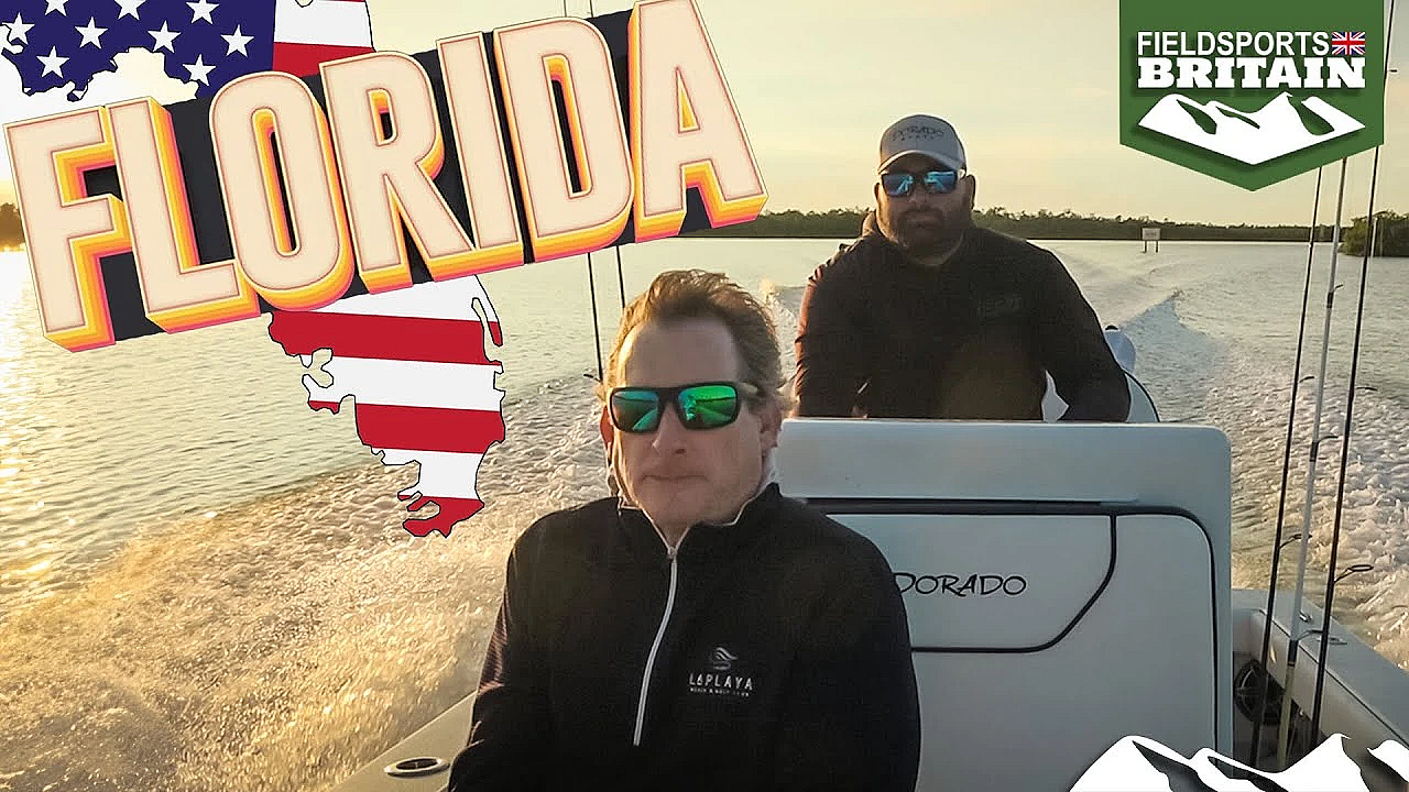 Fishing The Everglades For Snook