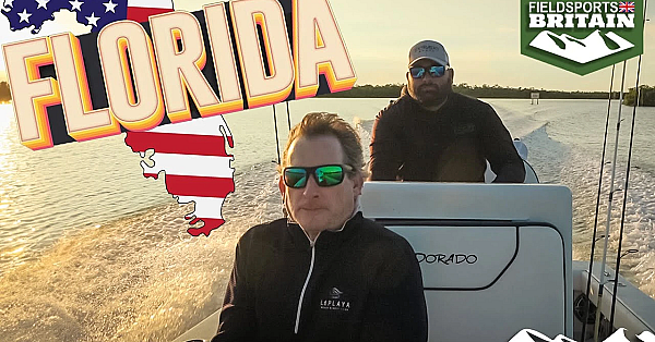 Fishing The Everglades For Snook