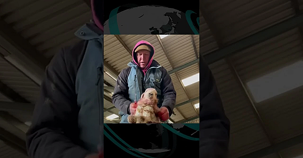 Antis Spew Hate Against Rural Businesses #fieldsportsbritain