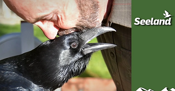 The Headkeeper, Part 1