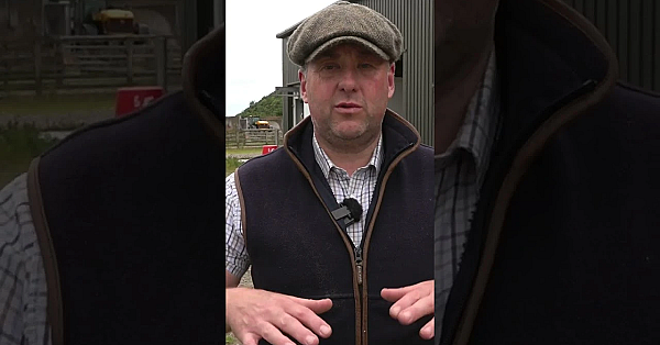 Skye Gamekeeper And Daughter Cull A Red Stag