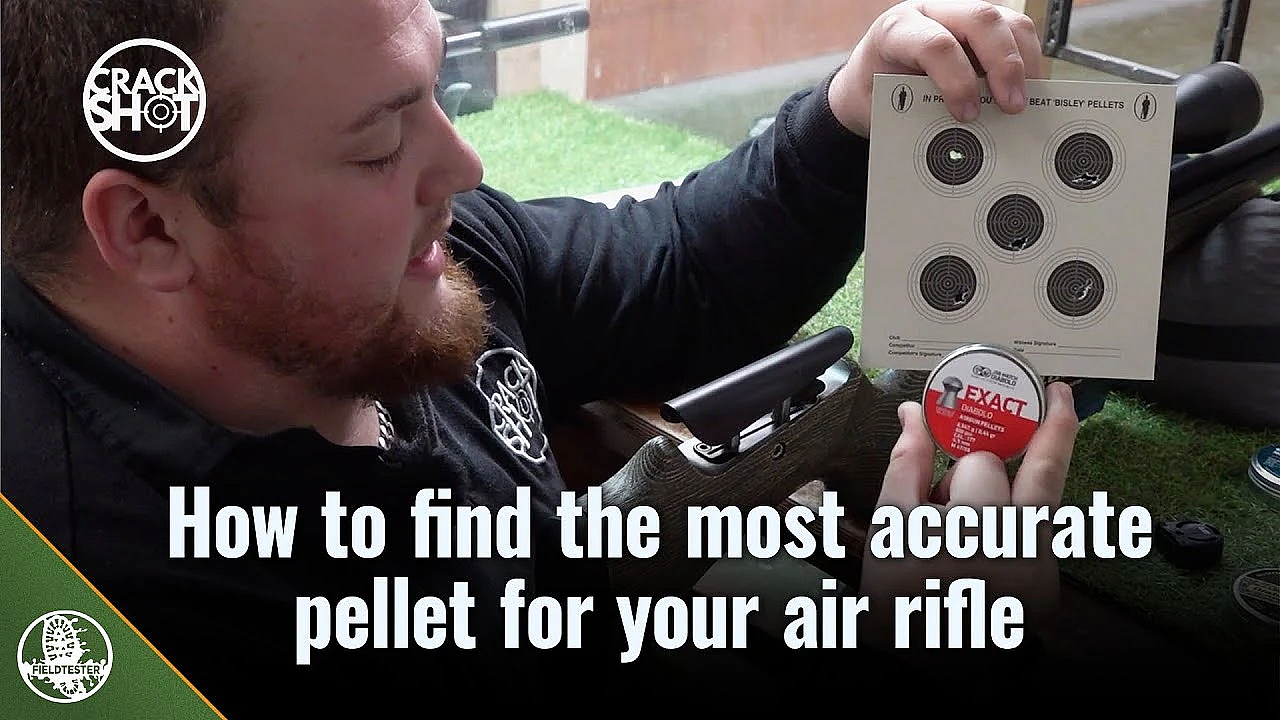 Do Different Air Rifles 'like' Different Pellets?