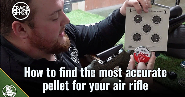 Do Different Air Rifles 'like' Different Pellets?