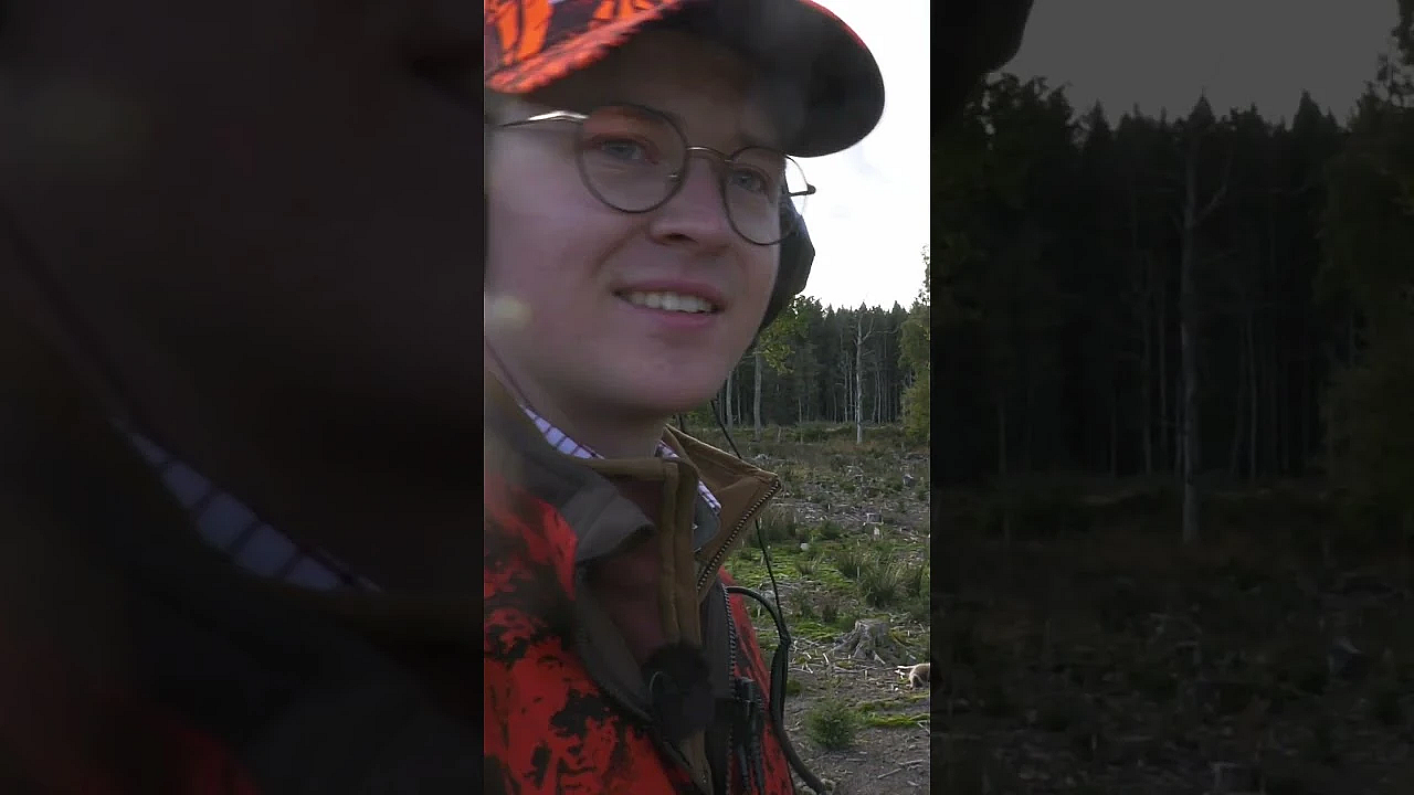 Fallow Deer Fever - Dream Drives, Christmas Venison &amp; A Festive Ian Hodge #fieldsportsbritain