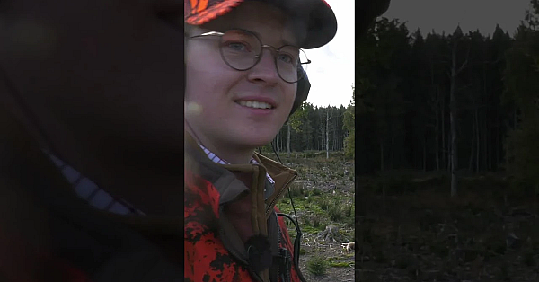 Fallow Deer Fever - Dream Drives, Christmas Venison &amp; A Festive Ian Hodge #fieldsportsbritain