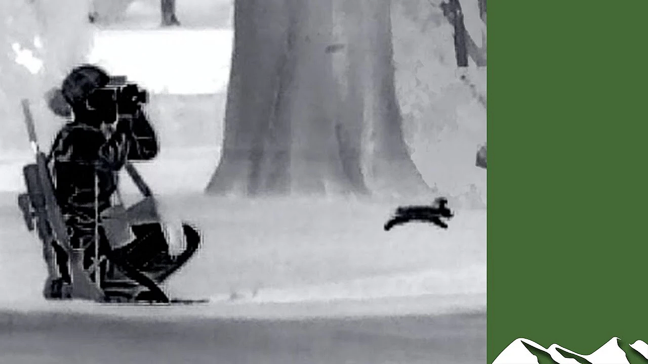 Golf Course Rabbit Control