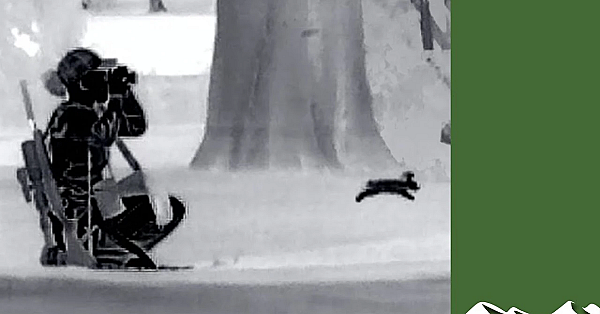 Golf Course Rabbit Control