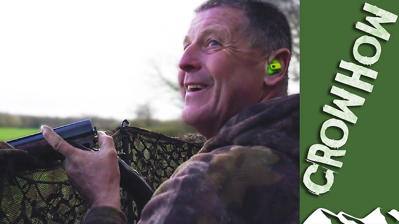 Decoying Pigeons In February (while Babysitting)