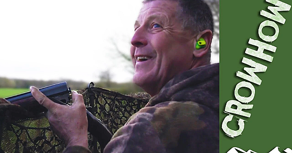 Decoying Pigeons In February (while Babysitting)