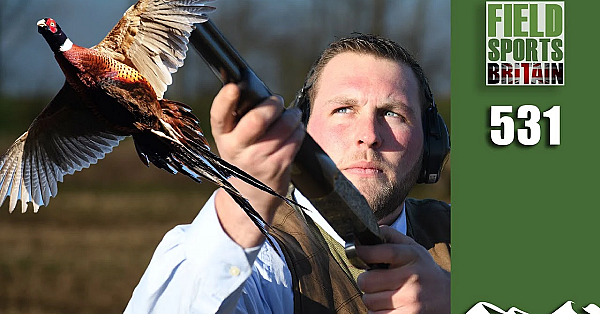 Fieldsports Britain - Pheasant Shoot Coach