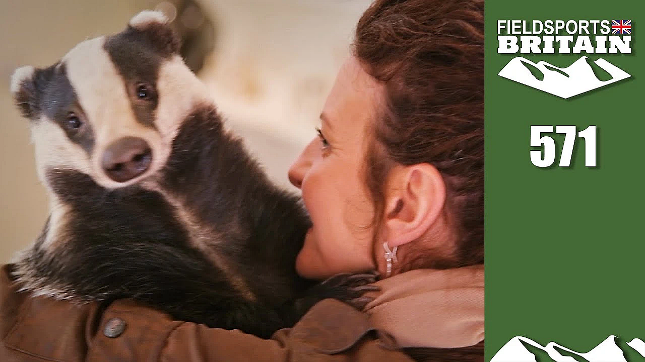 Fieldsports Britain - The Gamekeeper's Badger