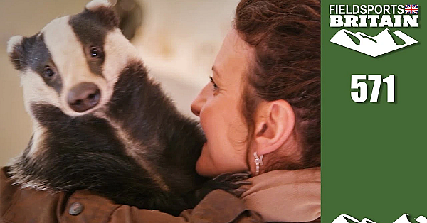 Fieldsports Britain - The Gamekeeper's Badger