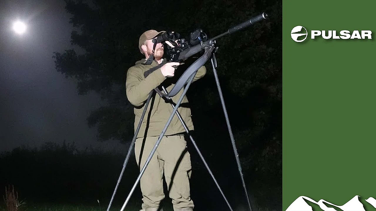 Shooting Loved-up Foxes