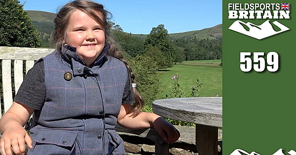 Fieldsports Britain - The Glorious Twelfth 2020