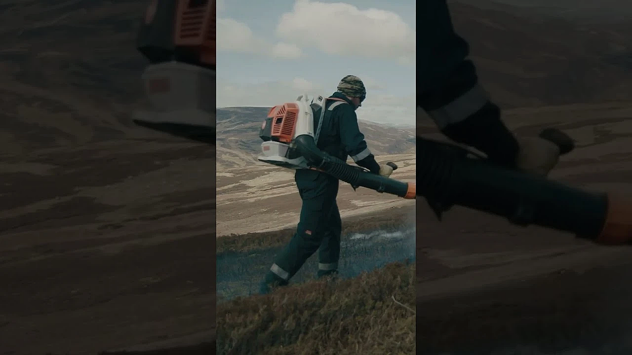 Farmyard Pests In This Week’s #fieldsportsbritain