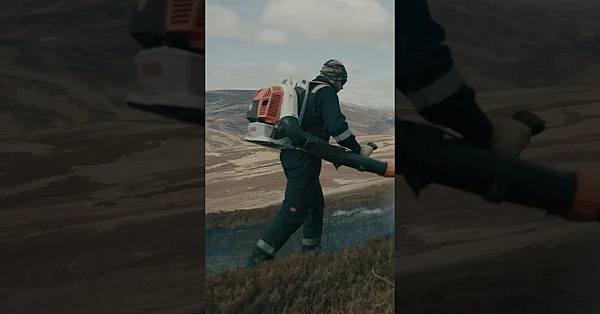 Farmyard Pests In This Week’s #fieldsportsbritain