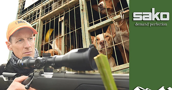 Wild Boar Montería Driven Hunt - Fast Action