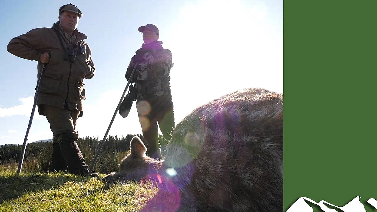 Deer Gralloch - How To Manage Mistakes