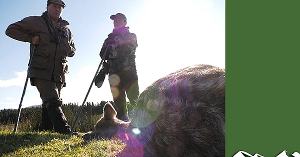 Deer Gralloch - How To Manage Mistakes