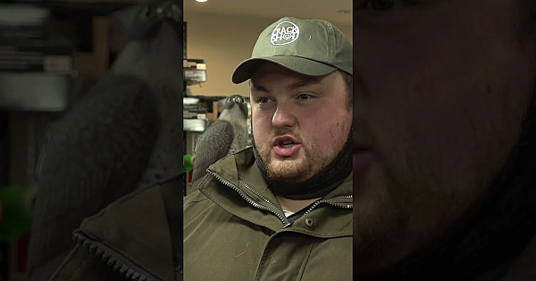 Essential #airgun Hunting Kit