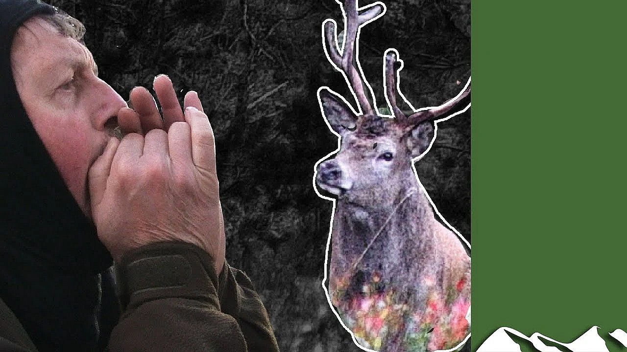 Calling Red Stags Viking Style