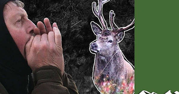 Calling Red Stags Viking Style