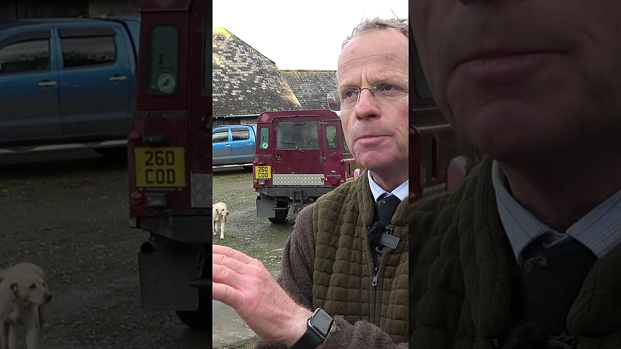 Andy Crow On A Devon Pheasant Shoot  #fieldsportsbritain