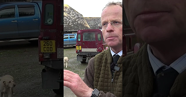 Andy Crow On A Devon Pheasant Shoot  #fieldsportsbritain